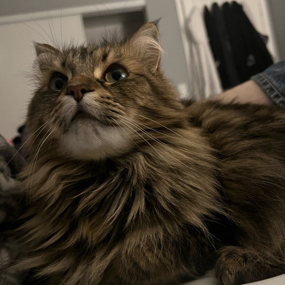 trade post for jncos